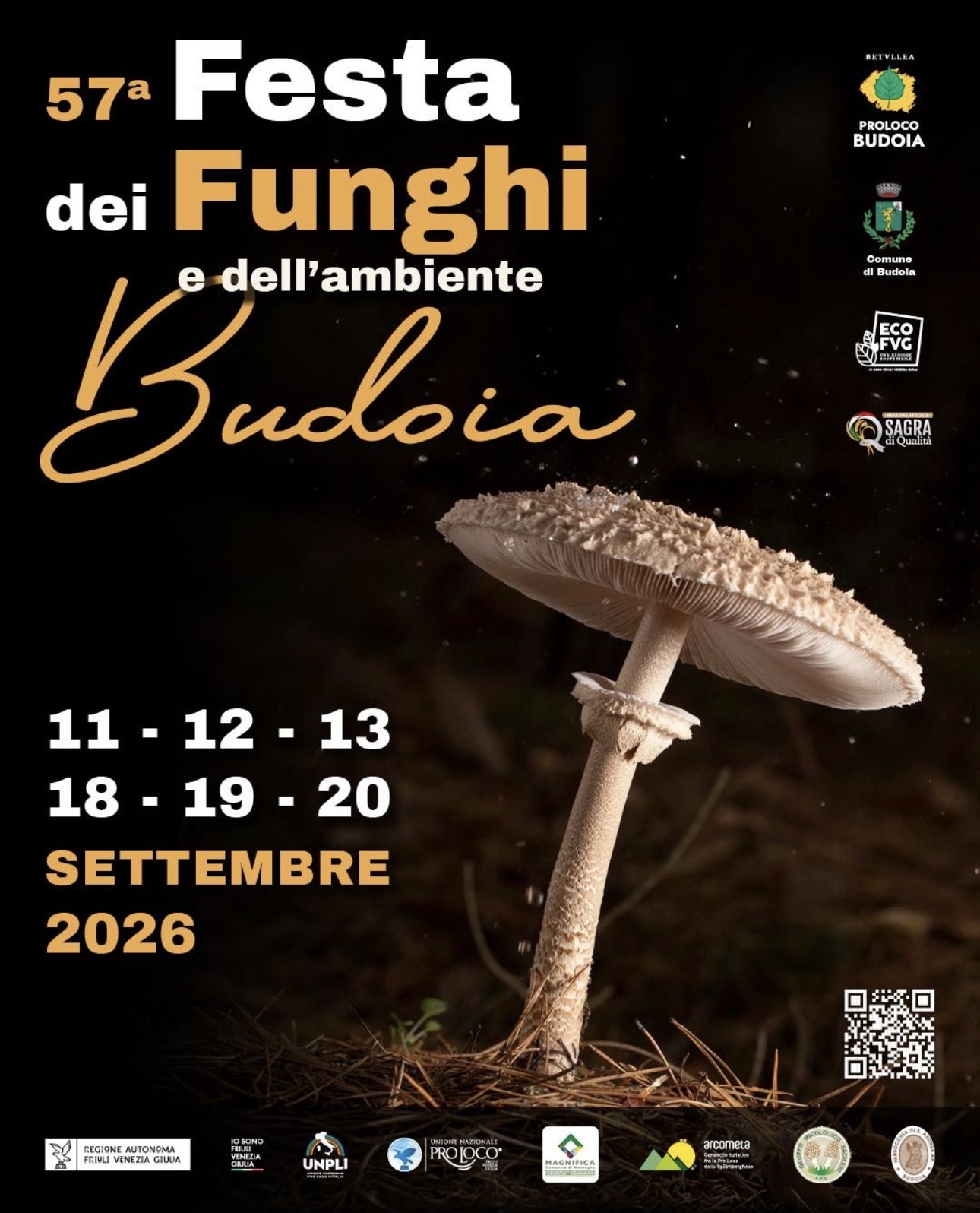 Budoia - Festa dei Funghi - Turbo Max