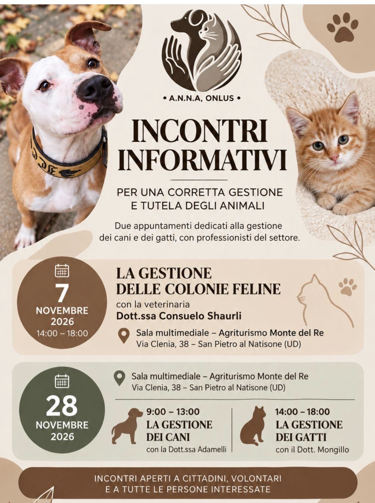 San Pietro al Nat. - La gestione delle colonie feline
